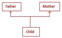 python multiple inheritance example