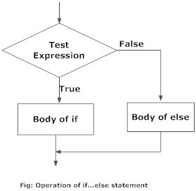 Python if-else Statement