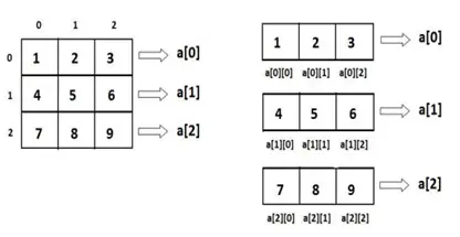 example image for indexing multi dimensional arrays