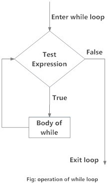 Python while loop